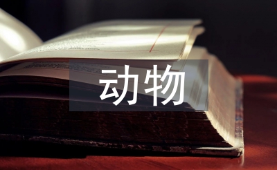 植物行动文明论文